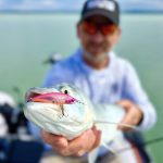 Mukai Bikaze 50S - Lime Pearl