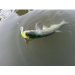 Imakatsu IKE-100 - 3D Ghost Kogill