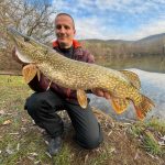 Imakatsu RipRizer 110F - Lightning Blue