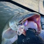 Imakatsu IS-200 - IMAE Dry Ice