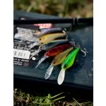 Imakatsu IS Wasp 50 SP - Mat Hot Tiger