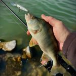 Imakatsu Dilemma 60 SP - 3D Sheron