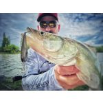 Imakatsu Dilemma 60 SP - 3D Sheron