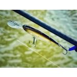 Imakatsu Dilemma Steep 60 - Hazy Shad 

