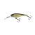Imakatsu IS Wasp 50 SP - Champagne Gold