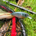 Imakatsu Gekiasa Flat - Silver Shad