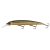 Imakatsu Super Dardo 115 - Stain Gold