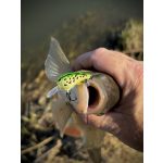 Imakatsu Bean Bats 30 - Kasumi Magic 2