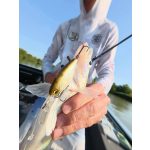 Imakatsu IS-200 - Flash Shad