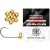RTB Tungsten Slotted Beads - Gold - 1,18gr - 10db