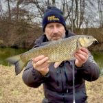 ZozoBaits DualDragon 65 - Gold Pearl - 15db