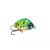 HMG Lures DroopKILLER FS 25 - 11