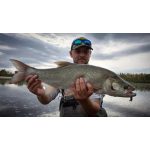 HMG Lures DeepRAP PRO 70 - Painted Holo Rainbow