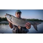 HMG Lures DeepRAP PRO 70 - Painted Vintage Silver