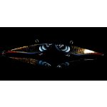 HMG Lures DeepRAP PRO 70 - Painted Vintage Gold