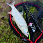 RTB Fortezza 762H - 228cm - 20-60gr