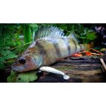 ZozoBaits FlexFish 50 - Snow White - 15db