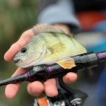 ZozoBaits FlexFish 50 - Cameleon Motor Oil Cosmos Pearl - 15db