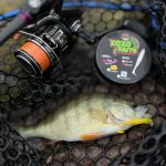 ZozoBaits FlexFish 50 - Blue Star - 15db