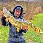 Imakatsu Gekiasa Flat - Mat Red Hot Tiger