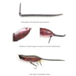 Imakatsu Metal Mouse - Black Raven