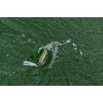 Imakatsu Metal Mouse - Mihara Doro Tenaga 
