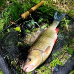 ​HMG Lures Jager 37 - 1