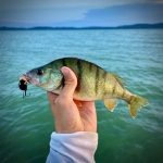 HMG Lures Jager 48 - 10