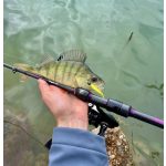 RTB KingPin TZ 632 - 190cm - 0,5-5gr