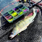 RTB KingPin TZ 702 - 213cm - 2-10gr