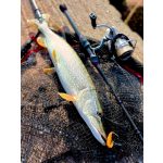 RTB KingPin TZ 702 - 213cm - 2-10gr