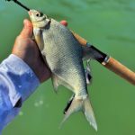 RTB Rubicon 632UL - 190cm - 0,1-5gr