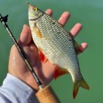 RTB Rubicon 632UL - 190cm - 0,1-5gr