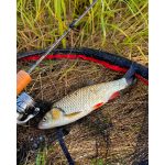 RTB Rubicon 702L - 210cm - 1-8gr