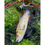 RTB Rubicon 702L - 210cm - 1-8gr