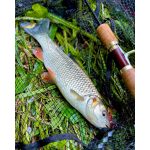 RTB Rubicon 702L - 210cm - 1-8gr