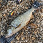 HMG Lures RiverKing 80 - Holo Classic Silver