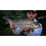 HMG Lures RappSNIPER PRO 70 - Painted Holo Olive