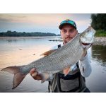 HMG Lures RappSNIPER PRO 70 - Painted Holo Blue