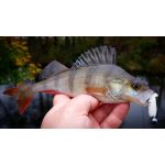 ZozoBaits RibWave 40 - Dark Motor Oil - 15db