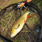 HMG Lures SilentASSASIN 39 - 11