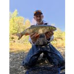 HMG Lures SilentASSASIN 49 Limited Edition - Painted Holo Copper