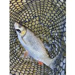 HMG Lures SilentASSASIN 49 Limited Edition - Painted Holo Copper