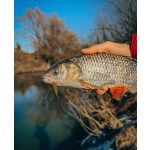 Upstream Darts Fat 1,6 - Motor Oil - 40mm - 10db