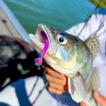 Upstream Sugar 3,3 - Milk Chocolate - 83mm - 6db